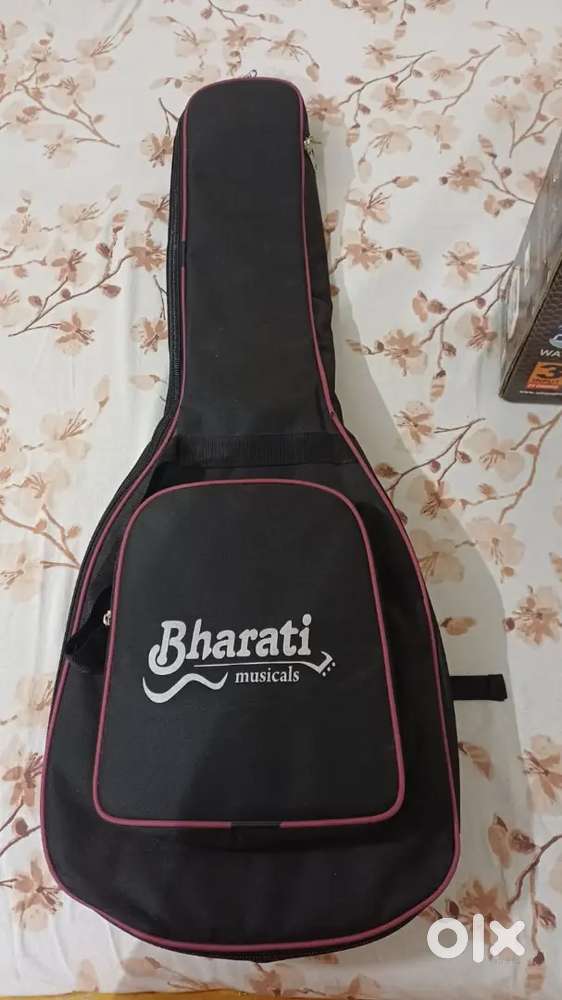 Electric guitar, amplifier, bag and some other accessories