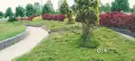 Plot for sale in Ayinada opp 5th battalion..