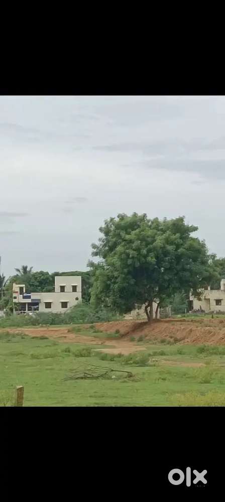 Devloped Area - Ready to construct