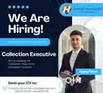 Collecton executive