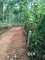 Own land in facing 4way sh53