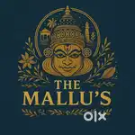 Need a South Indian dosa master and helper or assistant cook