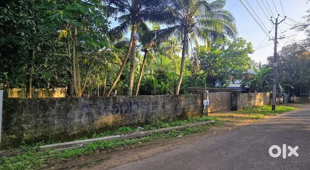 47 cent land at Thrissur with 15 meter frontage at the road side