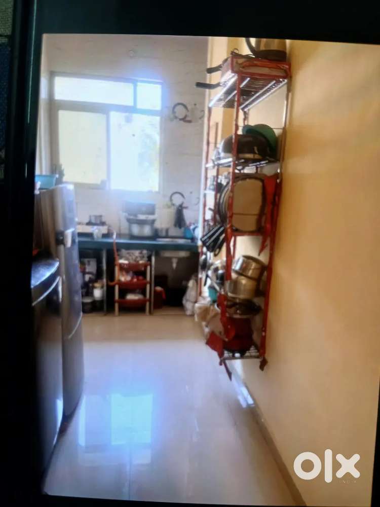 Need a working female room mate for sharing my house