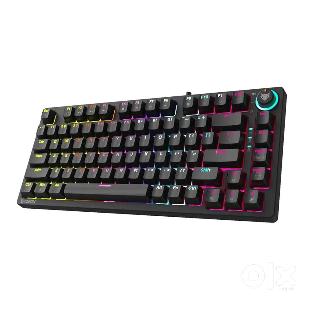 Fabulous gaming keyboard evofox katana x2