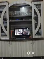 Shokesh with TV