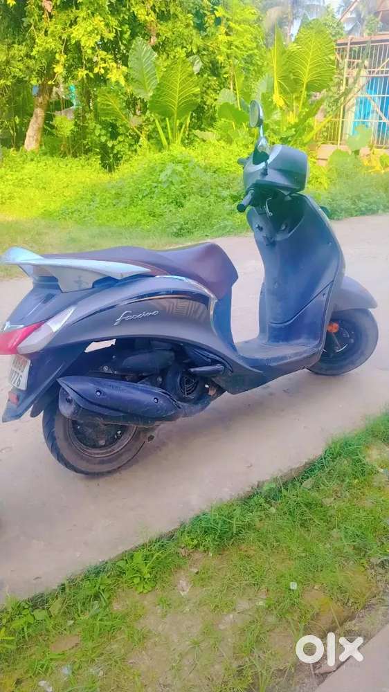 গুড কনডিশন গুড কালার