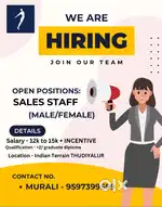 sales excutive