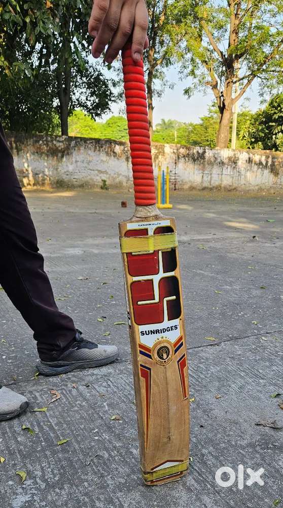 SS cricket bat