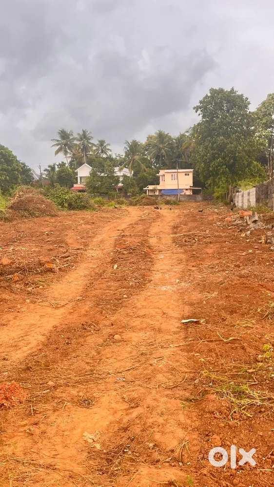 PREMIUM HOUSE PLOTS FOR SALE 
IN PERUMBAVOOR