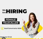 Good communication skills Hindi Punjabi telecaller