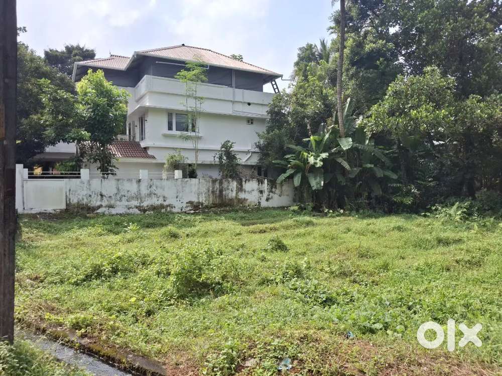 purayidam 3.5 km from Aluva metro  in a premium residencial area