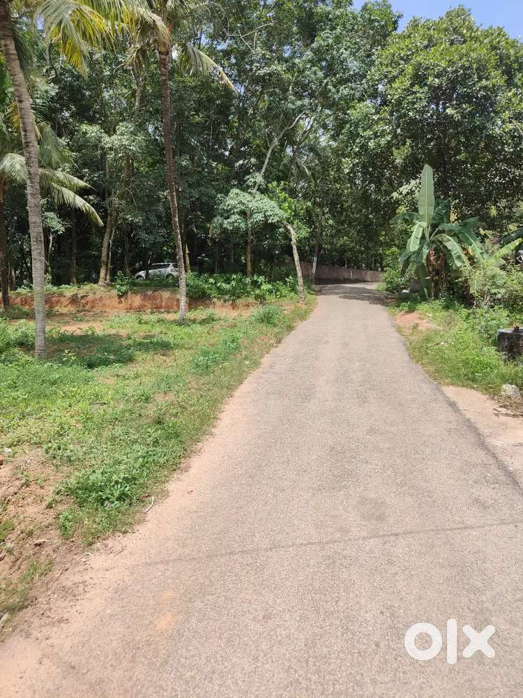 Plot for Sale in Koduvazhannoor, Nagaroor  21 cent Road Side