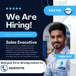 Sales Executive