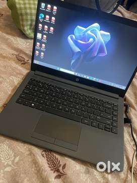 Hp 247 G8 AMD Anthlon dual core ( 8 GB/ 1 TB HDD/ WINDOW 11 Home )