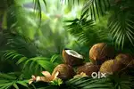 Coco Bea  Premium Coconut Farm Land for Sale Near Othakkalmandapam