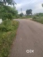 Shadnagar Dambur road commercial farm land 20 lakhs