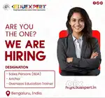 sales administrator