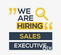 SALES AND MARKETING HEAD