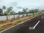 Plots for sale - Kottai pirivu & Bilichi Coimbatore
