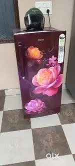 Haier Fridge and Crompton 1 HP Water Moter