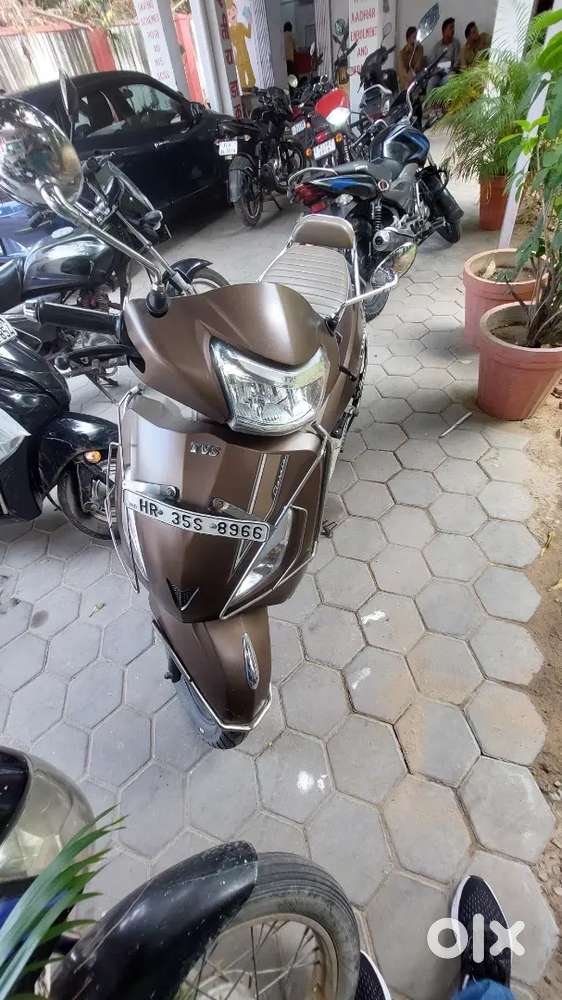 Brand new condition
