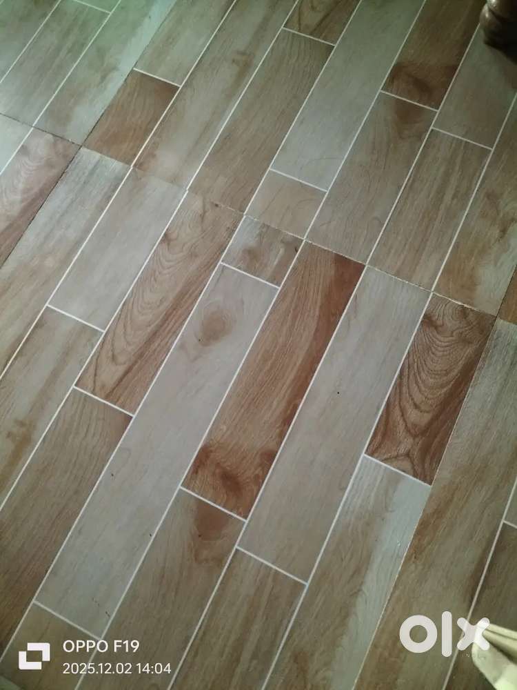 Apartment   ambajogai road