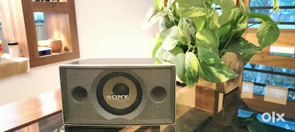 SONY SURROUND SPEAKERS