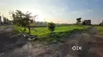 150sqyd  plot in mohali