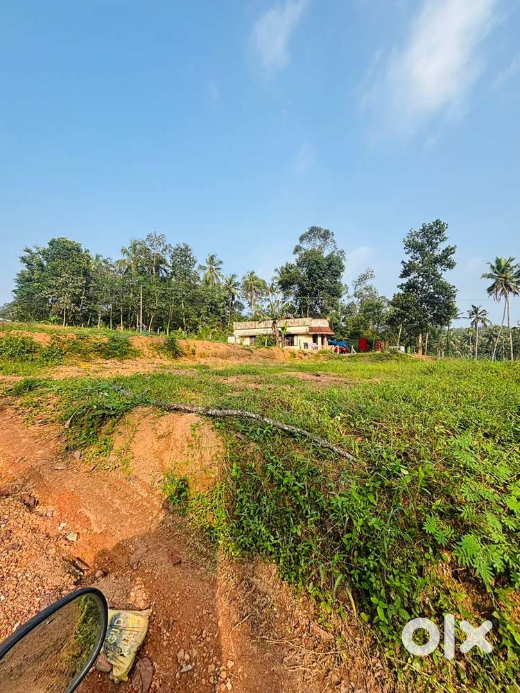 ‼️House plot for sale Kulappada 6 cent ‼️