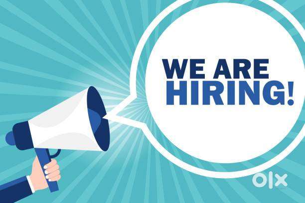 Telecaller Executive (BDO)