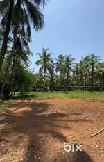 20 cent plot for sale