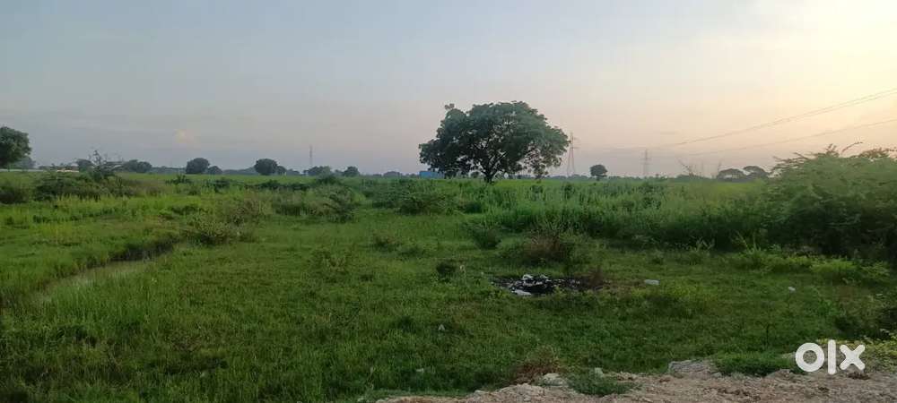 200 gajalu,Thurakapalem road