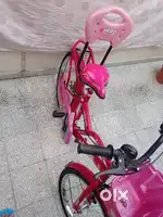 Girls Hero Bicycle