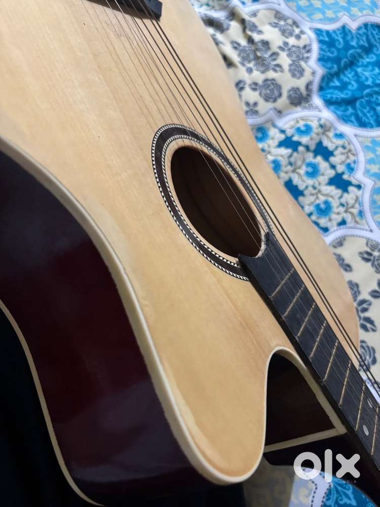 Hernrix pro acoustic guitar