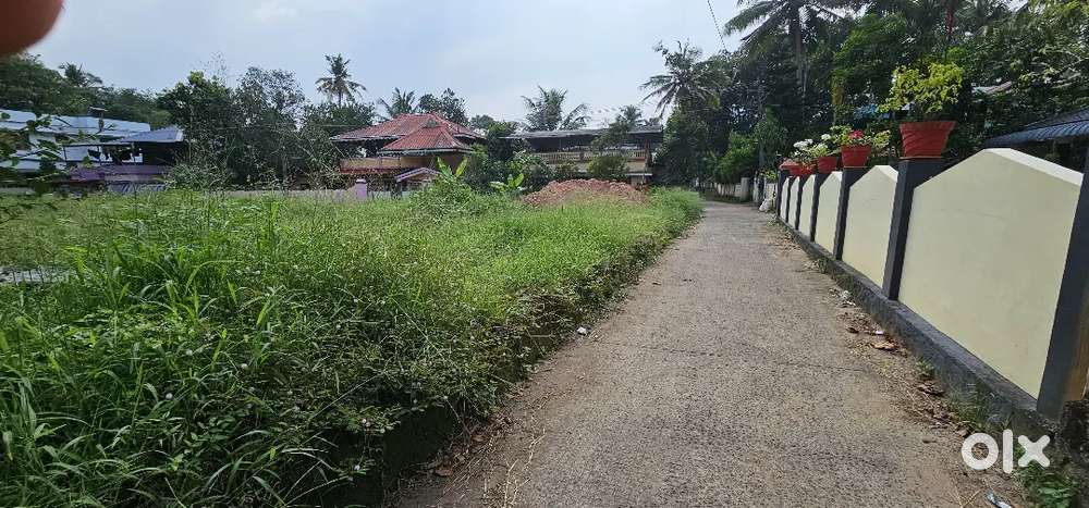 House plot for sale nearest Thrikodithanam changanacherry
