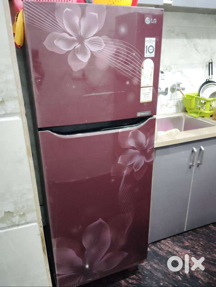 LG 236Ltr.