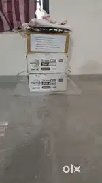 Ceiling Lights