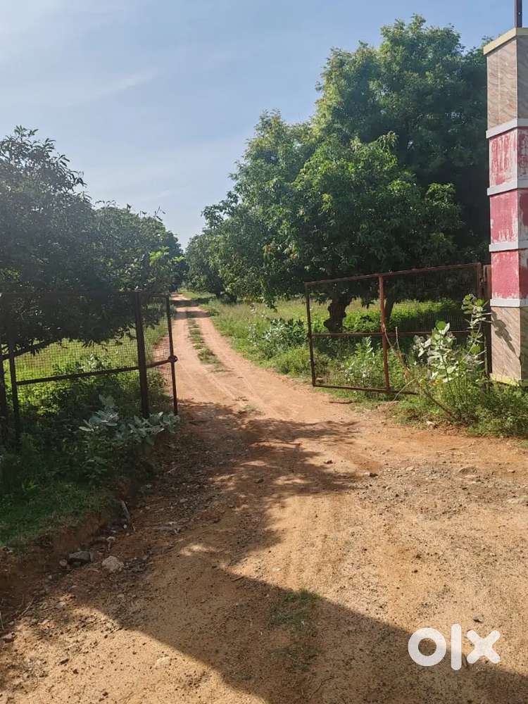 Farm land for sales in alagar kovil