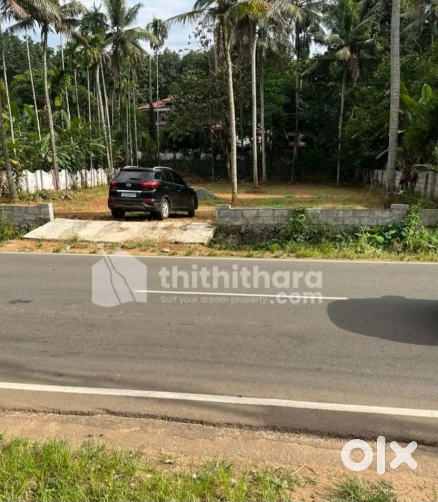 1acre 10cents land for rent  bus route frontage kongorpilly koonamavu