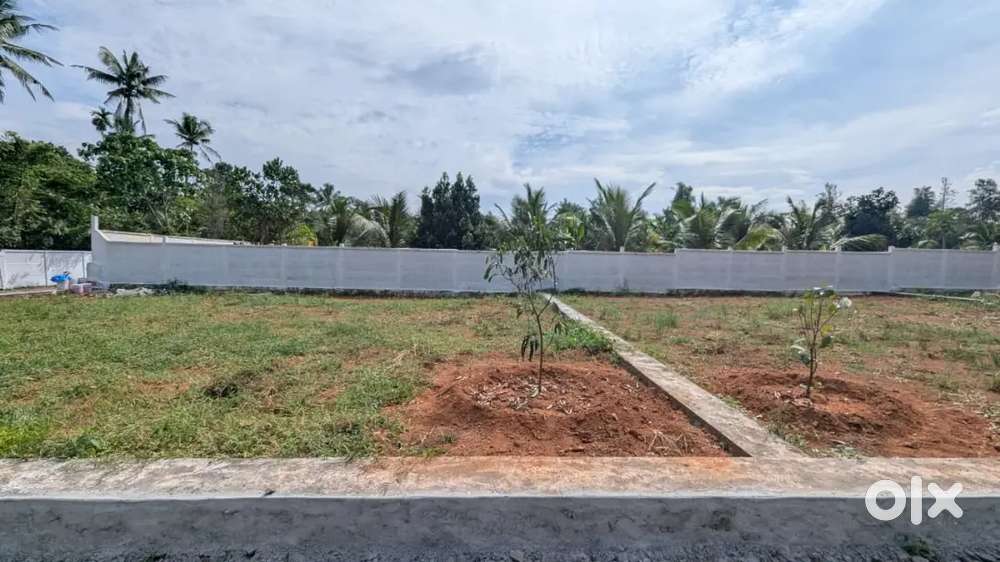 Angamaly Puliyanam junction near 5-10 cent plots &villas- 90%Loan