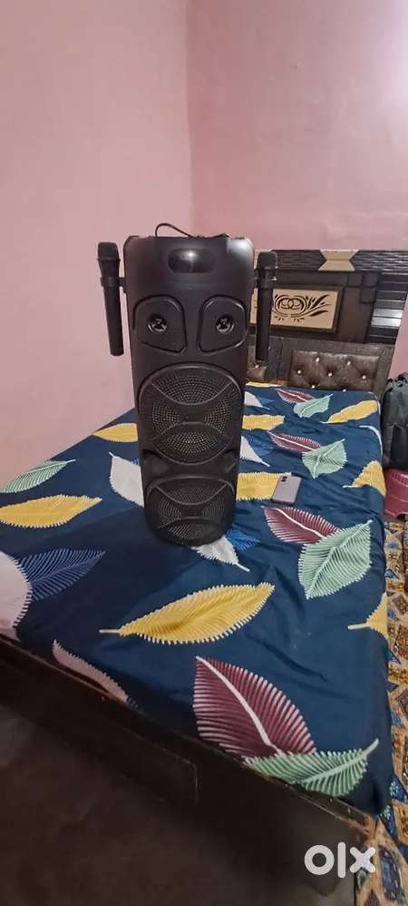 It is party speaker of zenbronics brand  it has two Mike also loud.