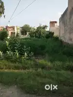 6 MARLE PLOT  SALE IN RANDHAWA COLONY NEAR LADHEWALI  JALANDHAR