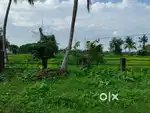 land for sale in Shamnagar installment available