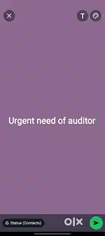 Auditor for audits