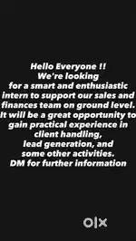 Sales executive