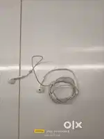 Apple earphones