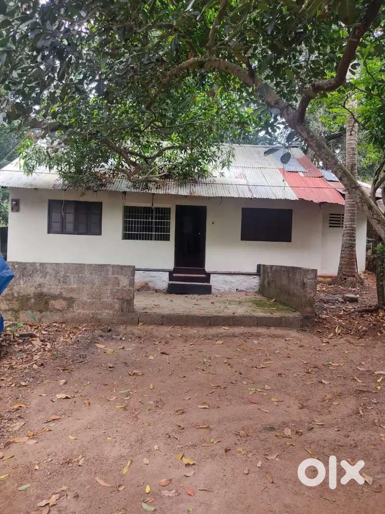 Plot For Sale Including House and Trees in Kudapanakunnu