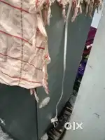 Fridge Samsung