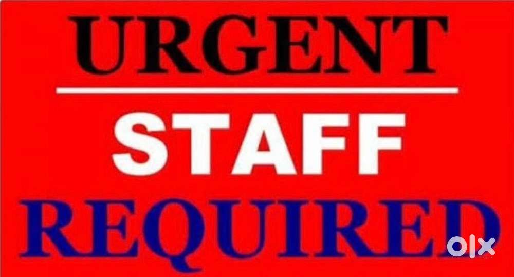 Helper or salseman required for clothing shop